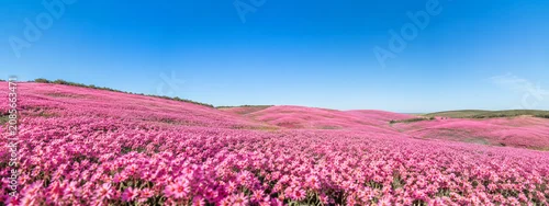Panel kuchenny z motywem Spring flower sea nature scenery nature scenery natural marketing