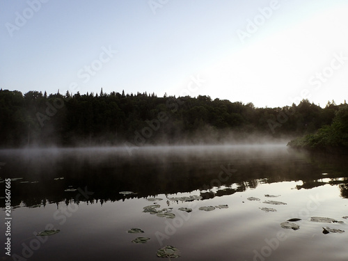 Brume sur le lac au lever du soleil le matin dans la forêt	