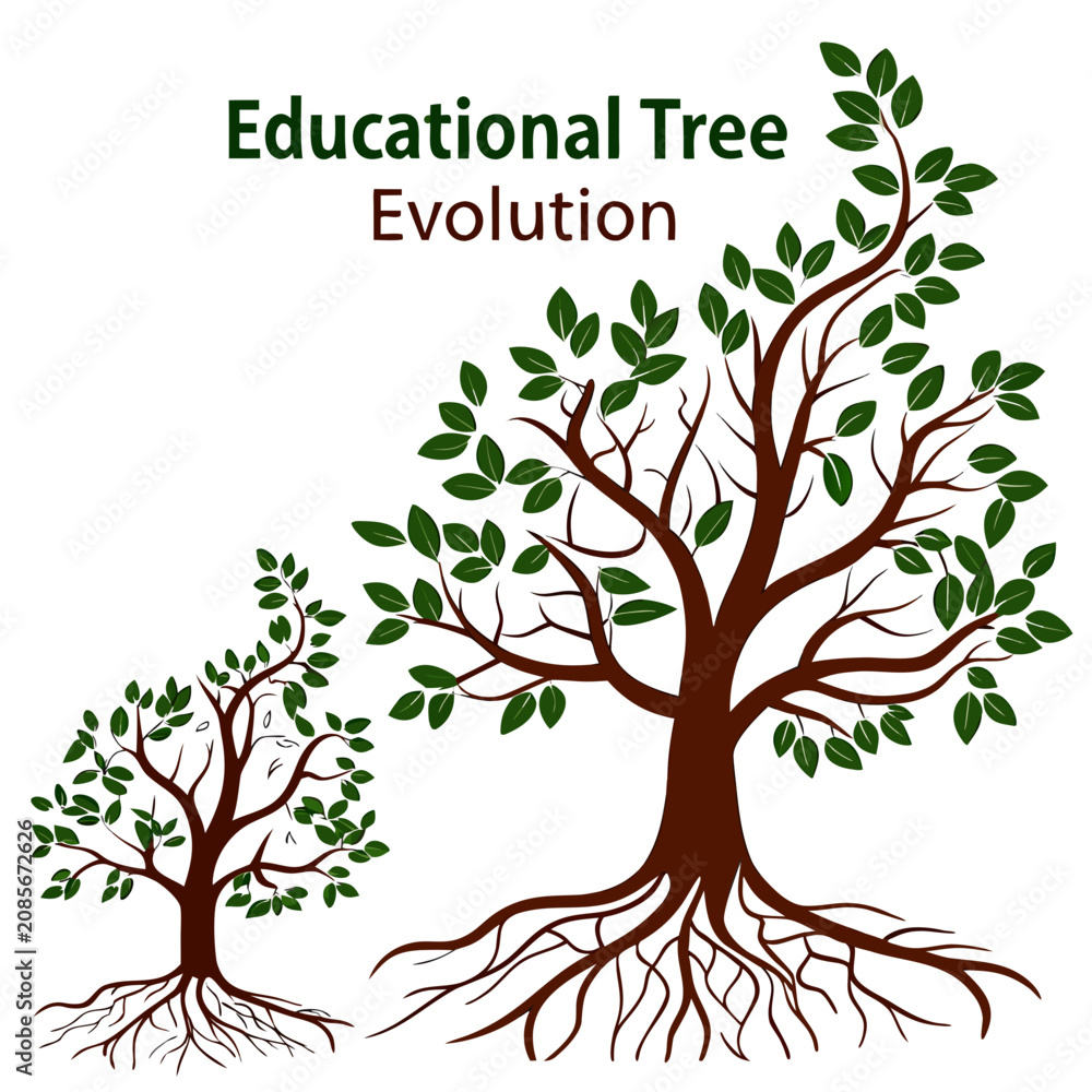 Fototapeta premium Educational tree evolution diagram showing a small sapling and a large tree with detailed brown roots and green leaves on white
