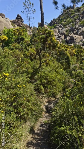 Narrow hiking trail through granite rocks
