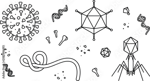 Tableau sur toile Halloween vector illustration bundle with black line art spiders, tarantula, dangerous black widow, hanging creepy cobwebs, and scary insect web elements isolated on white background