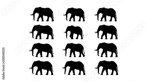 Fotografie Elephant Icon Set with Black Silhouettes Arranged in a Grid for Animal Identity