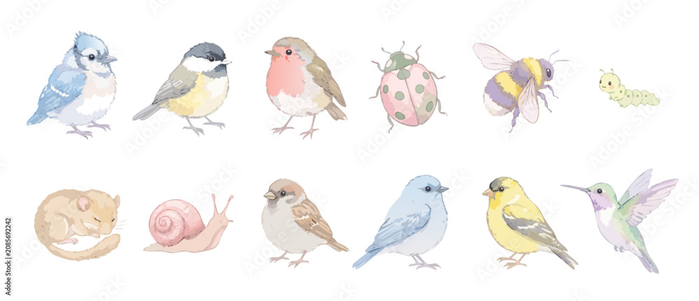 Fototapeta premium Watercolor birds and garden animals set of cute isolated woodland wildlife illustrations including robin bluebird ladybug snail and hummingbird in soft pastel paint style for nursery design.