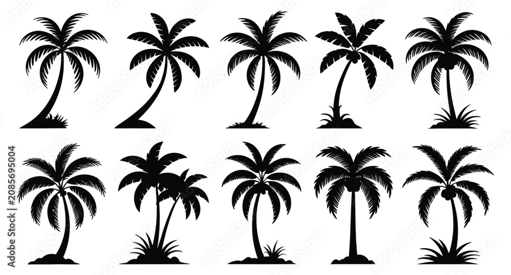 Fototapeta premium Collection of diverse black silhouette palm trees with coconuts and fronds isolated on transparent background