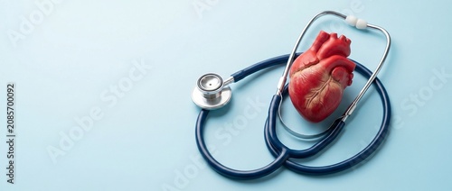 Anatomical heart model and a blue stethoscope on a light blue background, cardiology wellness, prevention