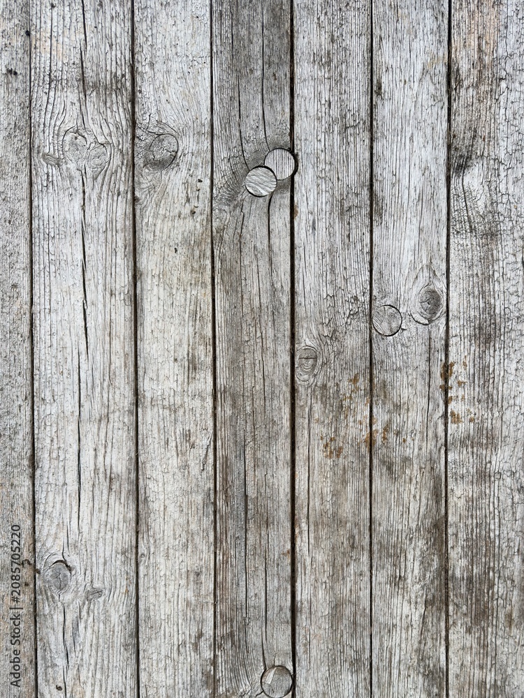 Fototapeta premium Woody doors