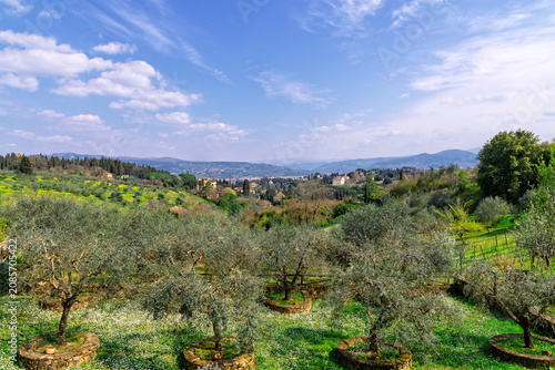 Photos Scenic Landscape of the Region of Tuscany, Italy