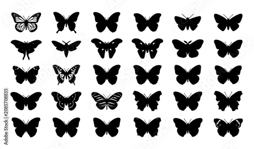 Konstfotografi Butterfly and Moth Silhouette Vector Set with Lepidoptera Icon Collection