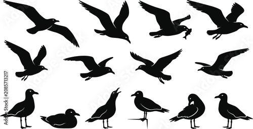 Canvastavla Seagull Silhouette Collection with Flying and Standing Coastal Birds, Gull Fligh
