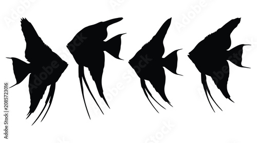 Quadro su tela Angelfish Silhouette Collection Black And White Aquatic Animal Shapes Silhouette