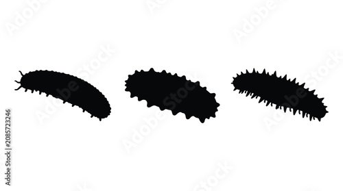 Photos Three Caterpillar Silhouettes In Black Against A White Background Silhouette