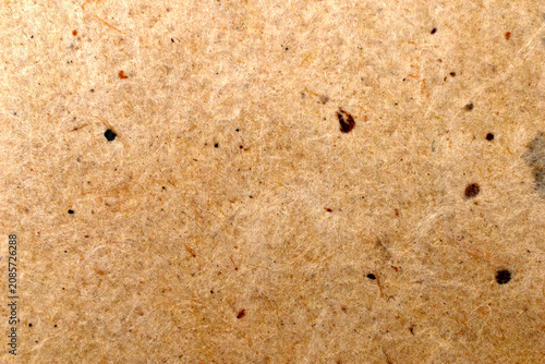 Obraz na plátně The texture of antique parchment paper with visible fibers