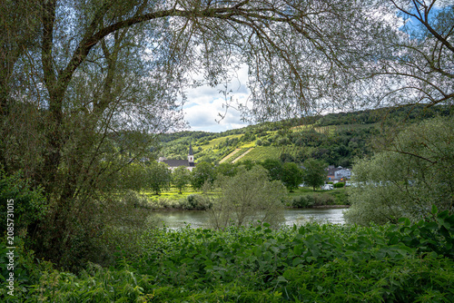 Zwischen dem ruhigen Fluss, den sanften Weinbergen und den Wohnmobilen, die wie kleine Inseln der Freiheit wirken, lag dieser Stellplatz auf der anderen Seite des Ufers. Von hier aus sah alles noch fr
