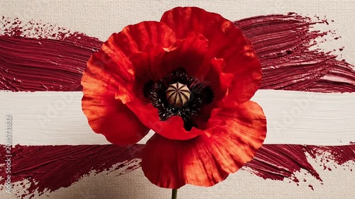Vibrant red poppy flower with artistic brushstrokes evoking remembrance and beauty