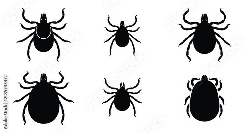 Foto Tick Insects In Various Poses Black Silhouette