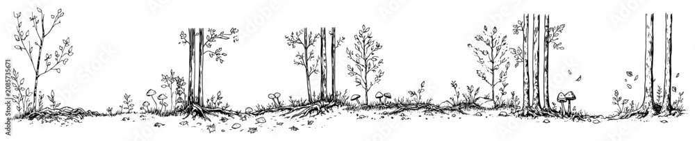 Obraz premium Forest tree line with wild mushrooms and meadow plants in hand drawn ink style