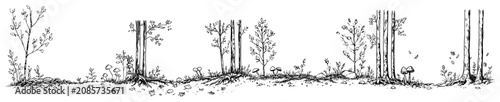 Konstfotografi Forest tree line with wild mushrooms and meadow plants in hand drawn ink style