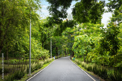 Empty asphalt pathway inside a shady green public park perfect for jogging exercise