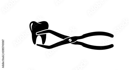 Cuadro en lienzo Dental forceps securely hold a human molar tooth as a symbol for clinical extraction procedures