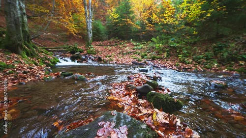 Mountain river with autumn leaves