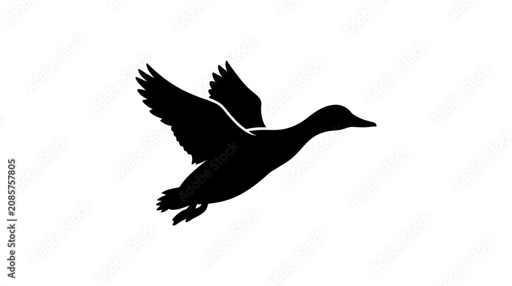 Fototapeta premium Flying duck silhouette isolated on white.