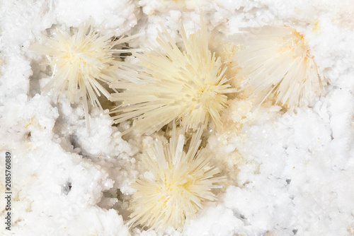 Canvastavla surface of scolecite crystals in quartz close-up