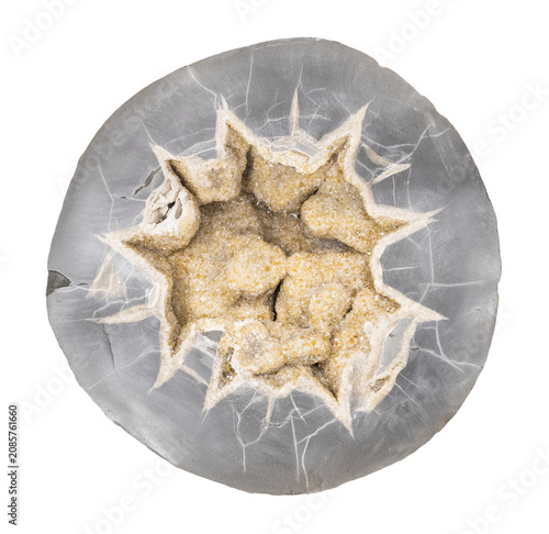 Фотография specimen of mineral from geological collection - natural septaria concretion wit