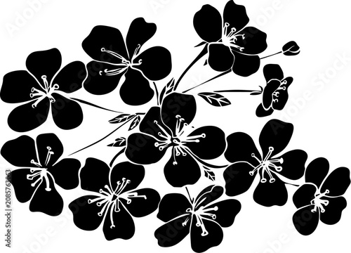 minimalist line art