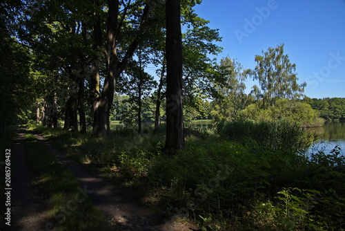 Hiking track at the pond 
