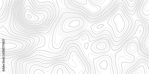Tableau sur toile Topographic map contour lines on white background for design and illustration