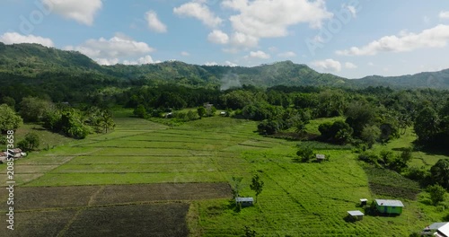 Agricultural land and mountains with green forest. Mindanao, Philippines.