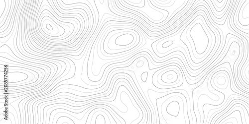 Bild auf Leinwand Topographic map contour lines pattern on white background for design