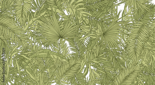 Beautiful lush green tropical jungle forest palm leaves drawn in a detailed vintage line art engraving pattern.