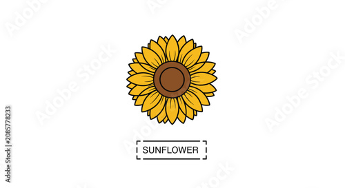 Beautiful yellow blooming sunflower blossom logo badge design with text template isolated on white background.