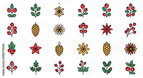 Modern set of flat winter Christmas botanical branch berries pine cone and geometric flower star minimalist icons.