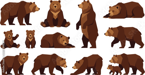 Fotografie Brown bear flat vector illustration collection featuring grizzly bears and cute cubs in various poses standing walking sitting and lying isolated on white background