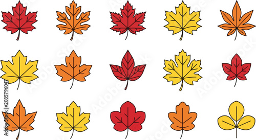 Fotografie Set of colorful autumn leaves icons in various shapes and fall colors for season