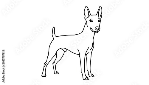 Manchester Terrier Dog standing bold line art on white