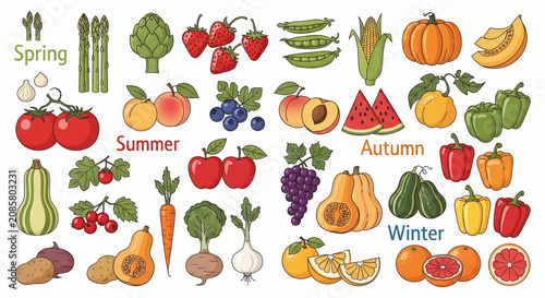 Seasonal fruits and vegetables collection. Fresh healthy produce for spring, summer, autumn, and winter. Organic farm food harvest illustration set.