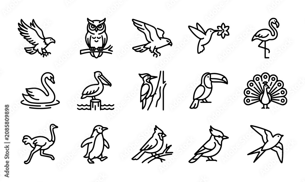 Fototapeta premium Minimalist Bird Line Art Icons, 15 Vector Avian Illustrations, Wildlife and Nature Graphics