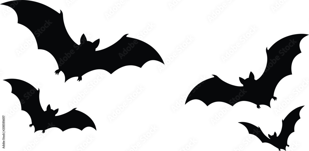 Fototapeta premium Halloween bats silhouettes for spooky decorations and party themes on halloween day