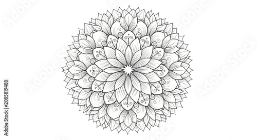 Intricate black and white mandala flower design with complex geometric patterns on an isolated white background.