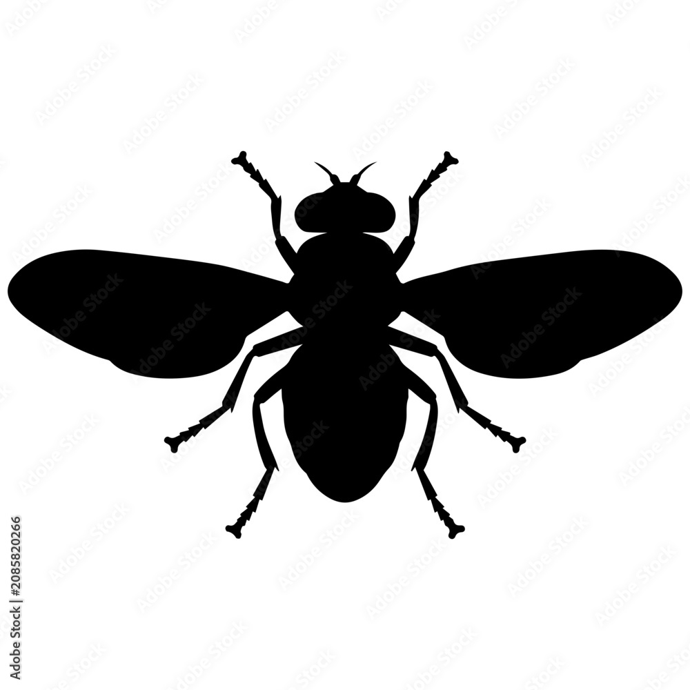 Fototapeta premium Silhouette of a Housefly in Black and White with Sharp Details and High Contrast