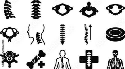 Photos Human spine anatomy set with vertebrae icons and skeletal structure diagrams for