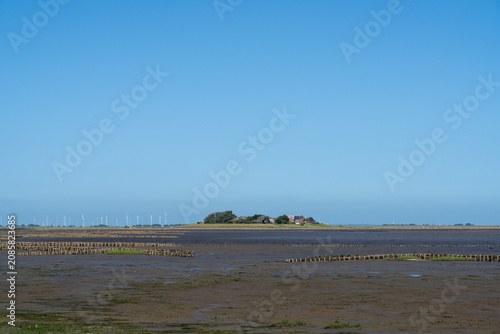 Schilderij op canvas Distant view of Hallig Oland settlement across the Wadden Sea mudflats
