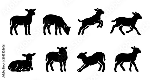 Fotografija Sheep Silhouette Collection, Farm Animal Vector Icons, Livestock Poses, Rural Li