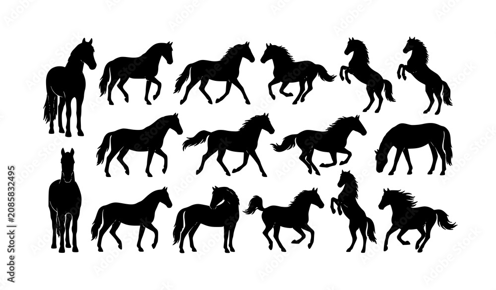 Fototapeta premium Elegant Black Horse Silhouette Collection with Multiple Poses Editable Vector Illustration