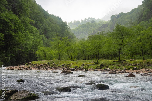 фотографія Fast mountain river flowing through a lush green canyon in misty weather