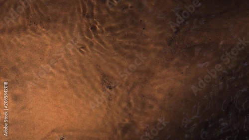 Top Down View of Shallow Forest Stream with Sandy Bottom. A static, high-angle, top-down 4K video of forest stream. Audio includes the soothing sound of running water band melodic birds chirping.