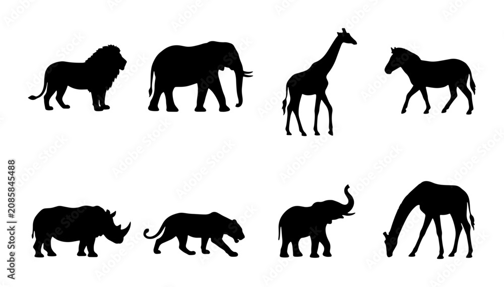 Fototapeta premium African Wildlife Silhouettes: Lion, Elephant, Giraffe, Zebra, Rhino, Leopard Vector Set